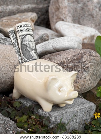 Old porcelain saving pig with dollar banknotes.