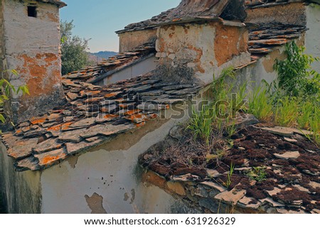 stone tile, yellow moss on tile, traditional roofs In the Mediterranean, wild stone,