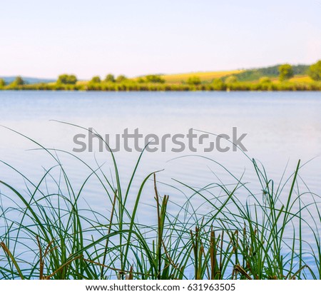 Photo of nature around beautiful blue lake at summer