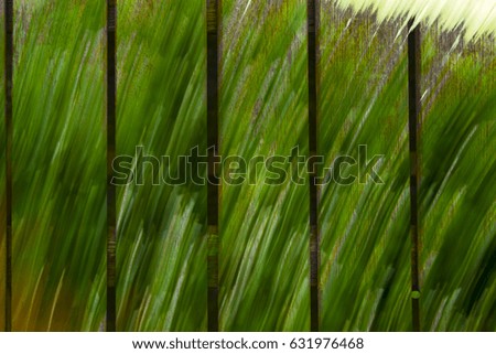 Photographic Abstraction in Greens