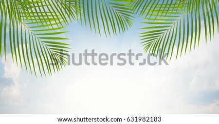 beautiful  cloudscape with palm leaves banner