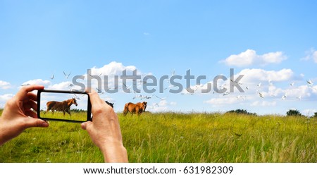 smartphone travel taking picture of beautiful landscape with horses and birds - UK travel and exploration concepts 