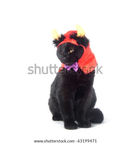Black cat wearing devil horn at for Halloween on white background