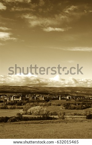 View of medieval town of Carcassone (France) through vines and fields at sunset. Sepia.
