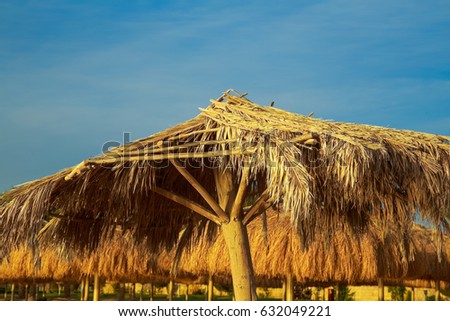 Tops of old beach umbrellas made of natural materials isolated over blue sky background. Photo shot at sunrise time. Horizontal color image.