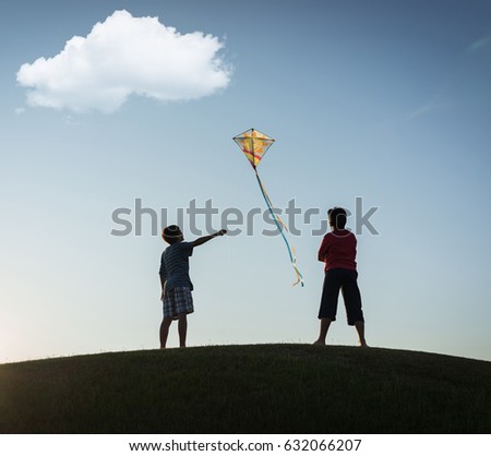 Children with a kite on the meadow