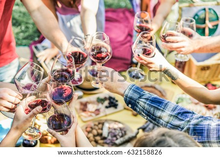 Group of friends enjoying picnic while drinking red wine and eating snack appetizer outdoor - Young people cheering and having fun together - Focus on left bottom hands glasses