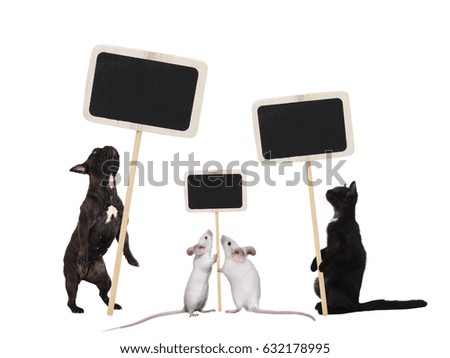 Cat, dog and mouse stand in funny poses and hold promotional signs for labeling