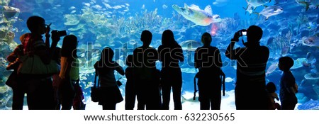 sea life aquarium kuala lumpur and visitors