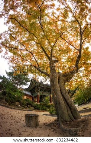 Gilsangsa temple autumn scenery with fall foliage surrounding the temple area. Gilsangsa is a famous buddhist temple in seoul, south korea