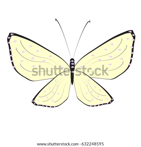 beautiful yellow butterflies, isolated on a white