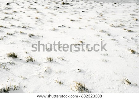 Field in snow, background, winter texture
