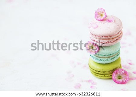 Tasty colorful macaroons in white background with pink spring flowers. Text space.