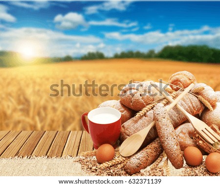 Wheat field. Ears of golden wheat close up. Beautiful Nature Sunset Landscape. Rural Scenery under Shining Sunlight. Background of ripening ears of meadow wheat field