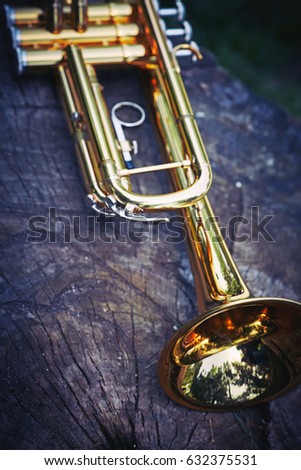 Trumpet music on a wooden stump in the woods on a background of green grass.