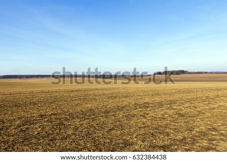   agricultural field with yellowing grass dying in the autumn season. Photo of landscape, blue sky in the background