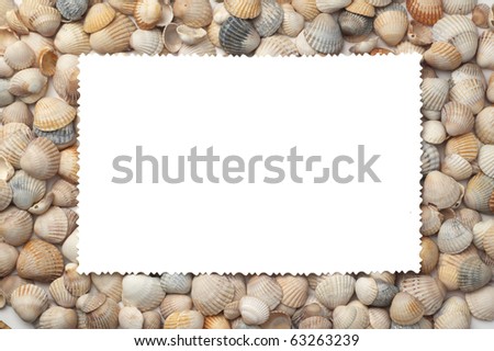 Photo frame with shells
