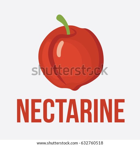 Vector illustration for teaching children the English alphabet with cartoon fruit,vegetables and objects. "N" letter. Nectarine. School card
