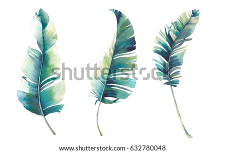 Watercolor tropical leaves set. Hand painted three exotic banana green branches isolated on white background. Botanical clip art. Summer plants illustration