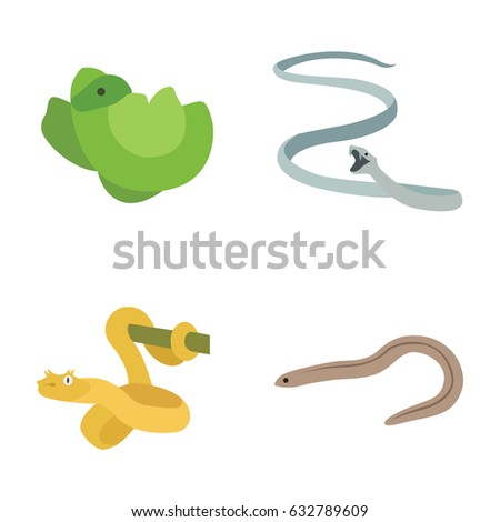 Reptiles vector icons