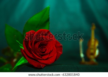 Photo of a red rose on a black background