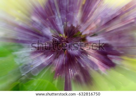 Dramatic explosion blur of lilac flower with  zooming effect