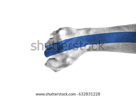 Fist painted in color Altai Republic flag, hand isolated on white background.