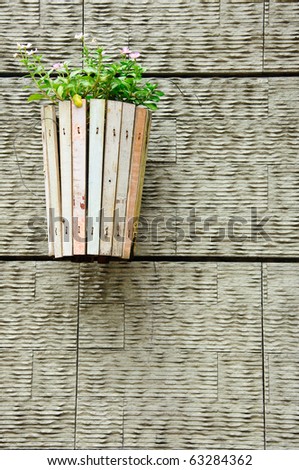Rough wall with colorful flower vase