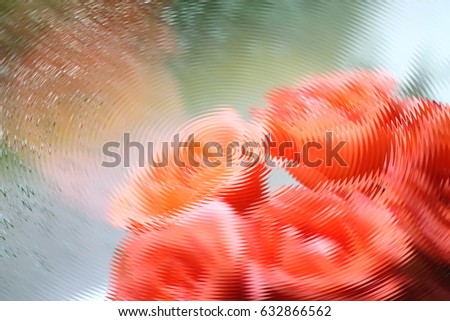 Distorted wavy picture soft orange roses bunch against window with water drops. Blurred abstract background.