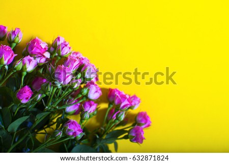Flowers and yellow background