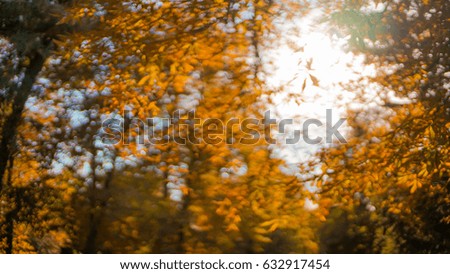Colorful Blurry Autumn trees Bokeh