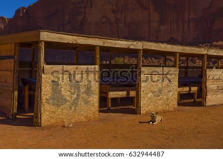 Dog lying down in red earth next to plywood shack decorated in native American style in the Monument Valley area, Utah