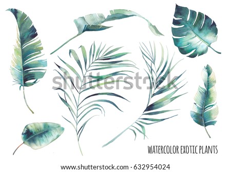 Watercolor tropical leaves set. Hand drawn exotic greenery isolated on white background. Botanical clip art. Summer plants illustration: banana tree, palm, sprout, monstera
