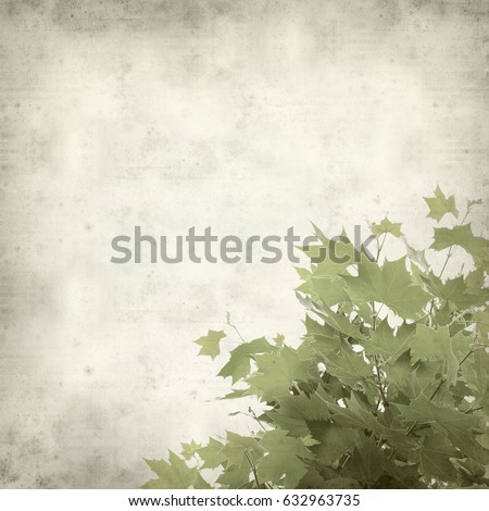 textured old paper background with young plane tree leaves
