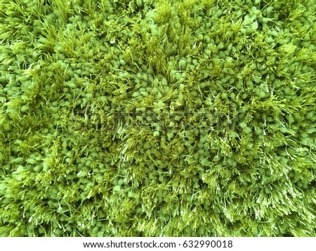 Texture fluffy carpet of light green color
