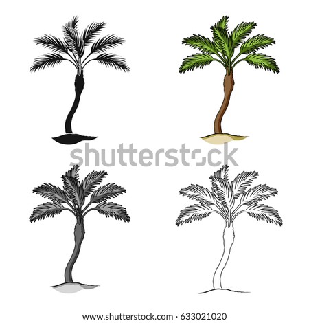 Palm beach tree.Summer rest single icon in cartoon style vector symbol stock illustration.