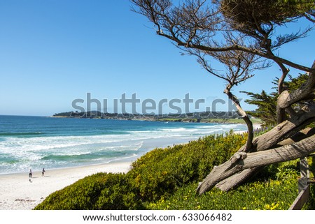Trees on grassy hill overlooking sandy beach on a sunny day