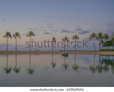 Morning Panorama of Palm Trees Reflected in Waikiki Lagoon at Sunrise.