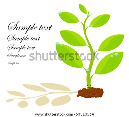 Fresh plant growing in soil with shadow. Symbol of life and spring  with copy space