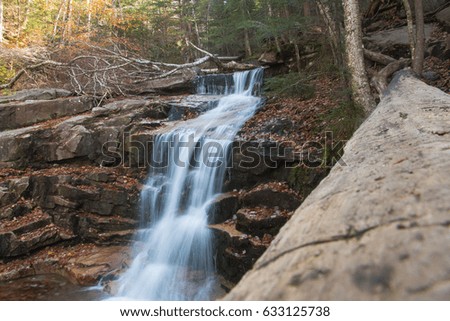 Waterfall in Forest with Log