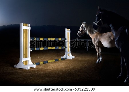 Warmblood horses in front of a hurdle