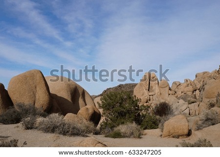 Clear spring day in the Joshua Tree National Park. Palm Springs, California, USA