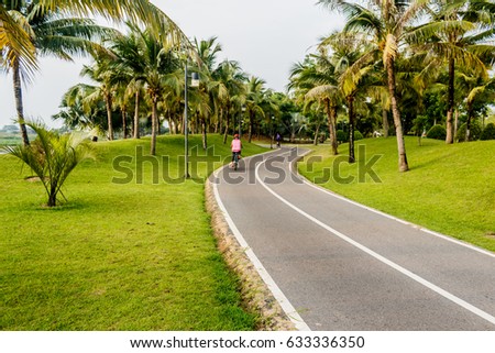 Road  bicycle in the coconut garden and nature