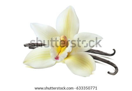 Vanilla flower 2 beans isolated on white background as package design element Royalty-Free Stock Photo #633350771