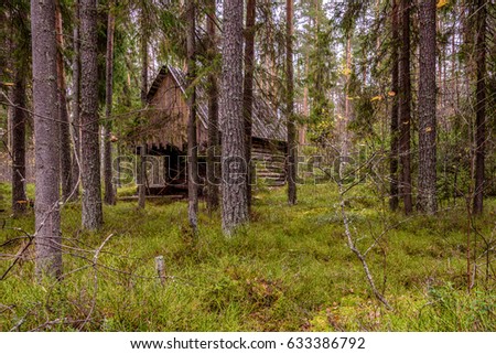 Old abandoned hut in the forest