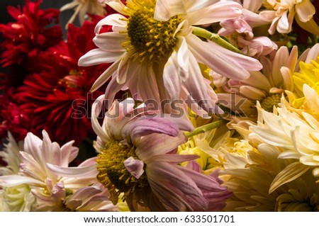 bouquet of colorful autumn flowers on a black background