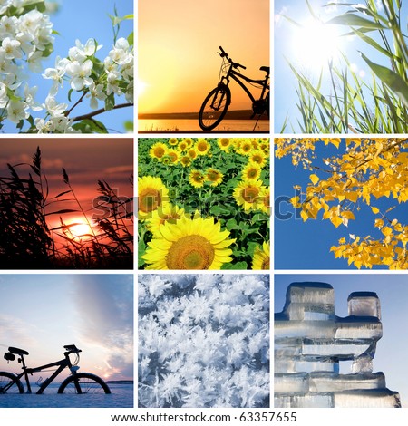Collage of the four seasons: spring, summer, autumn, winter Royalty-Free Stock Photo #63357655
