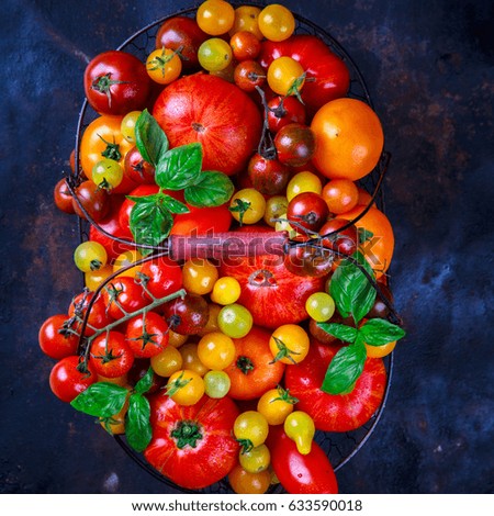 Various Fresh  Tomatoes in an iron basket on a dark Background.Food or Healthy diet concept.Super Food.Vegetarian.Buddha Bowl.Copy space for Text. selective focus.