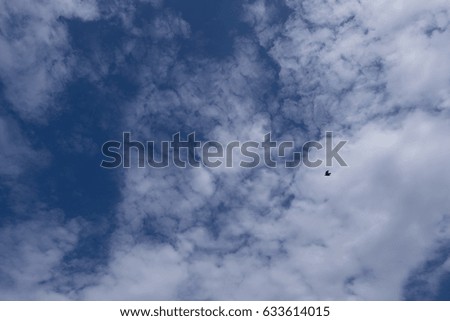 Blue sky and dramatic clouds