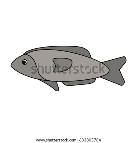 colorful silhouette fish aquatic animal